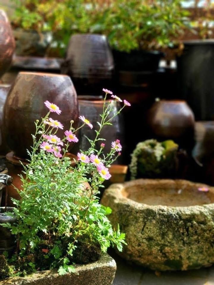 Đất thổ cư Khu phố mới Tây Hòa, Trảng Bom 145m² giá 1.3 tỷ - Cơ hội đầu tư tuyệt vời!