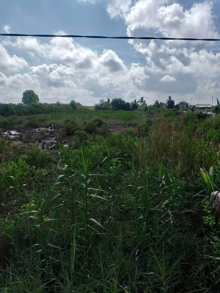 Đất nền ấp 8, xã Đông Hòa, huyện An Minh, 1600m² giá 128 tỷ - Đầu tư sinh lời lý tưởng!