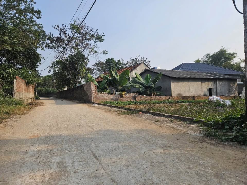 Bán đất thổ cư 100m² tại Tam Quan, Tam Đảo chỉ 600 triệu - Gần KCN!