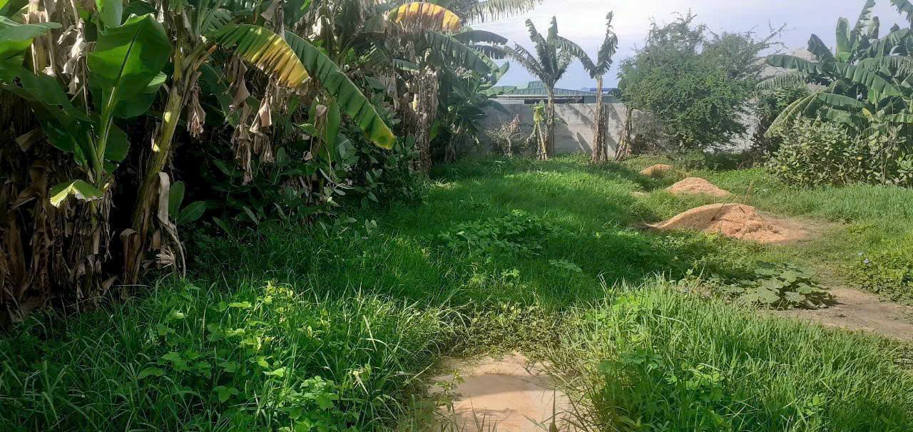 Đất thổ cư 400m² Tiến Lợi, Phan Thiết - Giá 2.7 tỷ, vị trí đắc địa!