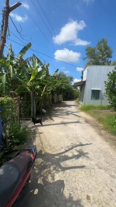 Đất vườn Long Tuyền 1.046,6m² giá 900 triệu - Đầu tư sinh lời ngay!