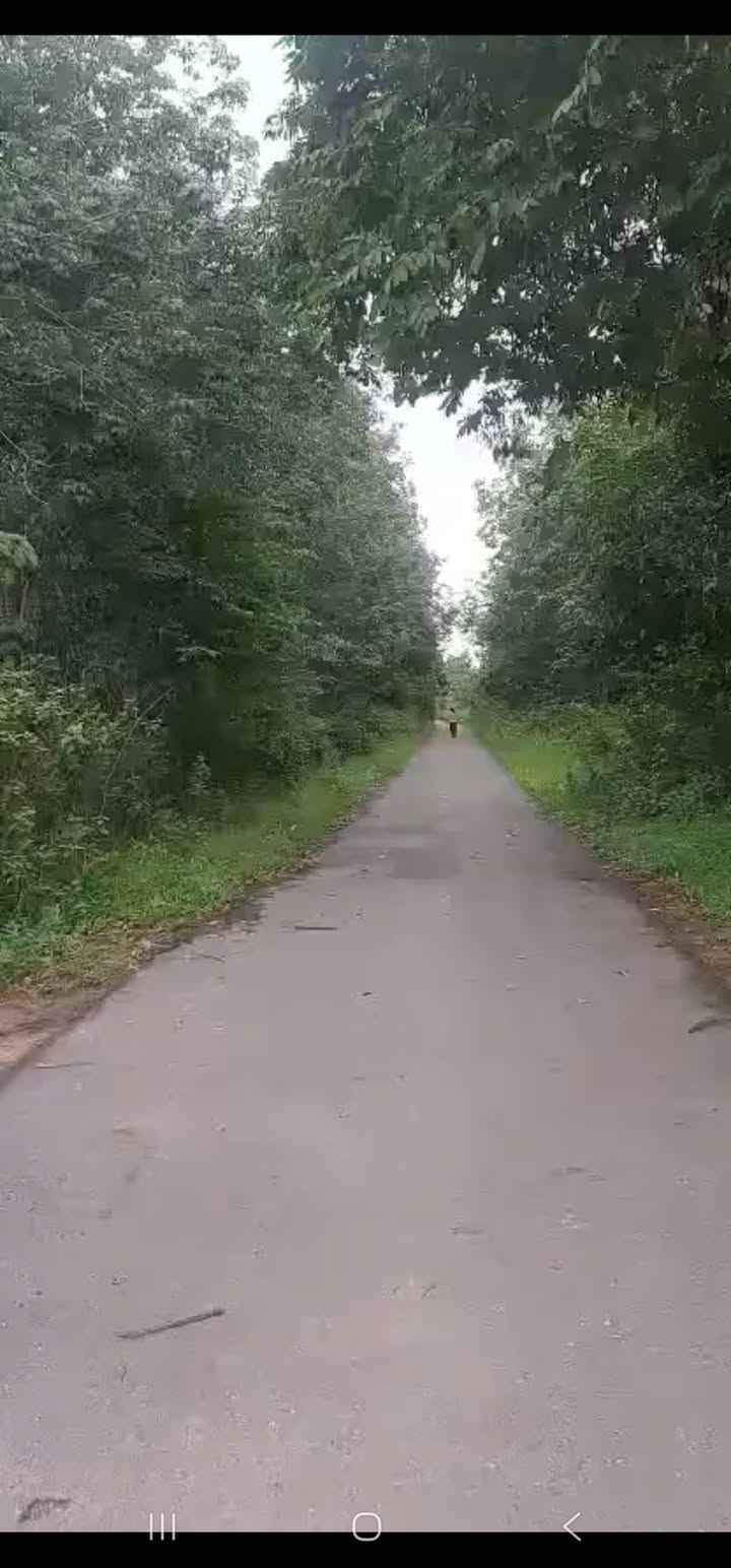 Đất nền mặt tiền đường nhựa Phường Ninh Sơn 500m² giá 450 triệu - Sổ hồng sẵn công chứng ngay!