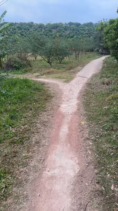 Đất thổ cư 400m² mặt tiền Tỉnh lộ 279 - Giá chỉ 400 triệu!