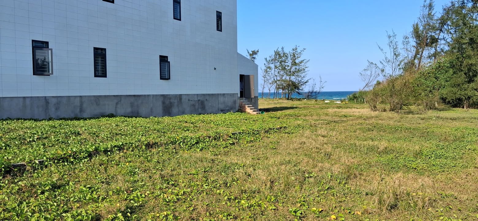 Đất nền đẹp tại Bình Châu, Quảng Ngãi 135m² giá 1.35 tỷ - Cơ hội đầu tư hấp dẫn!