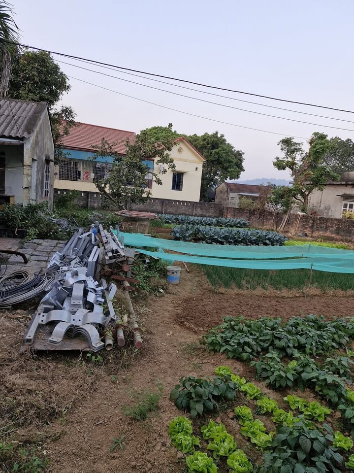 Lô đất 600m² tại Bỉm Sơn, Thanh Hóa - Mặt tiền đường 20m, hướng Tây Nam