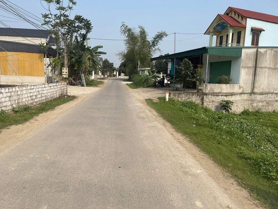 Đất thổ cư Thôn Đăng Lâu, Thọ Lâm 125m² giá chỉ từ 600 triệu - Đầu tư sinh lời ngay!