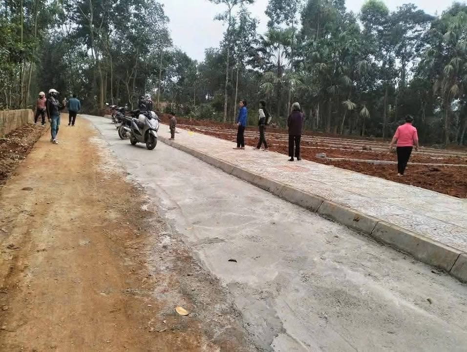 Đất nền Thôn 2, Xã Thọ Tân, Huyện Triệu Sơn 150m² giá 200 triệu - Đường thông ô tô tránh nhau thoải mái!