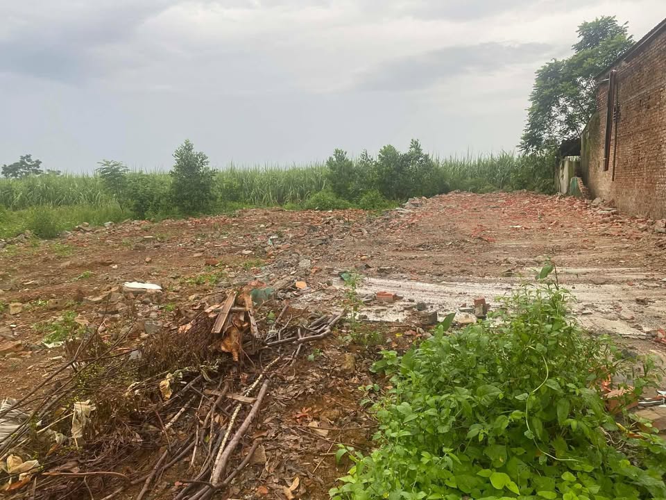 Đất thổ cư Xã Sao Vàng, Huyện Thọ Xuân 169m² - Kinh doanh sầm uất trên Quốc lộ 47!