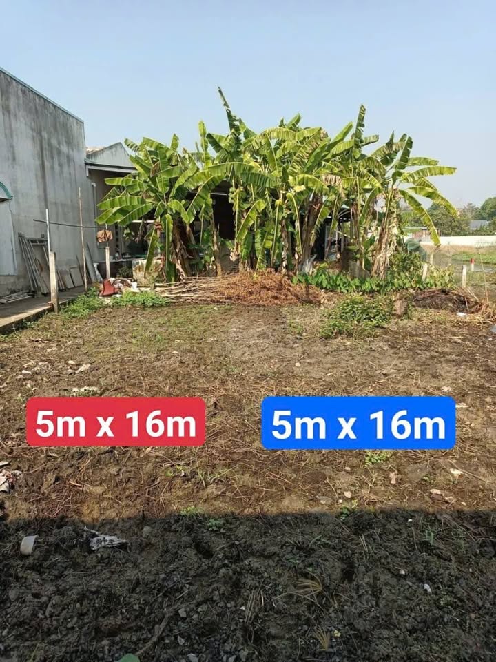 Đất nền 80m² xã Mỹ Lộc, Cần Giuộc giá 800 triệu - Đầu tư sinh lời ngay!