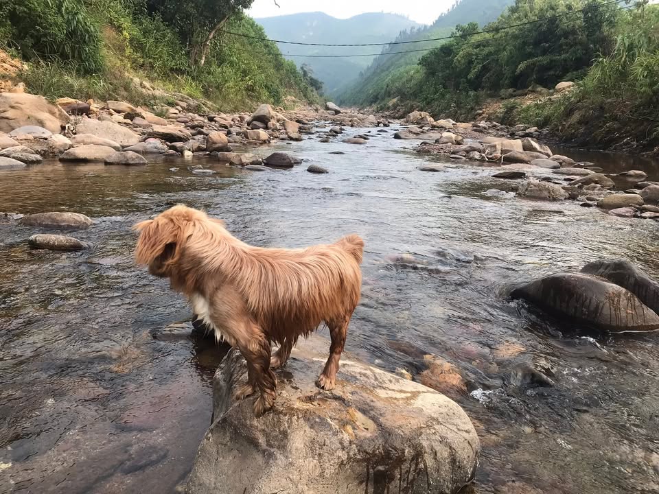 Đất thổ cư 2051m² tại thôn Đồng Trà, 3.5 tỷ - Đường ô tô tận nơi!