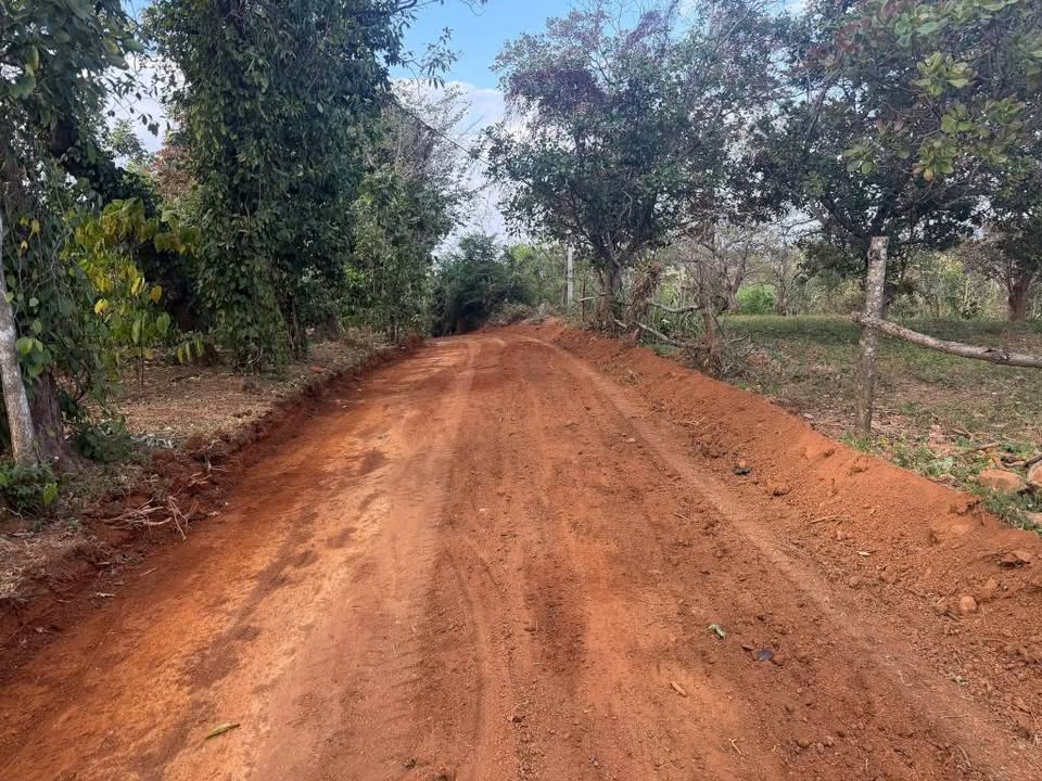 Lô đất Farm 16000m² tại xã Ea Nuôl, huyện Buôn Đôn, giá 32.3 tỷ - Cơ hội đầu tư hấp dẫn!