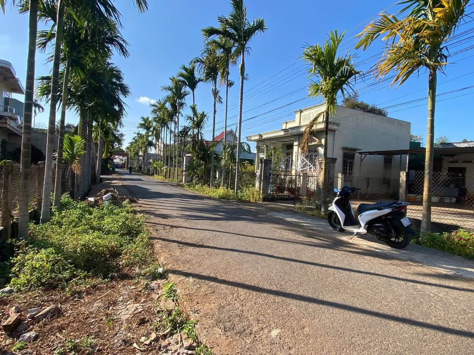 Bán gấp FrontHouse 14A Tân An 390m² giá 4.1 tỷ - Vị trí đắc địa, thương lượng ngay!