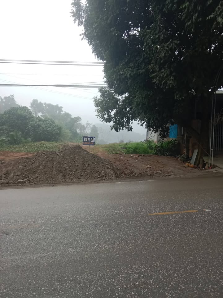 Đất mặt đường Phú Thịnh 488m² giá thỏa thuận - Tiềm năng cho đầu tư