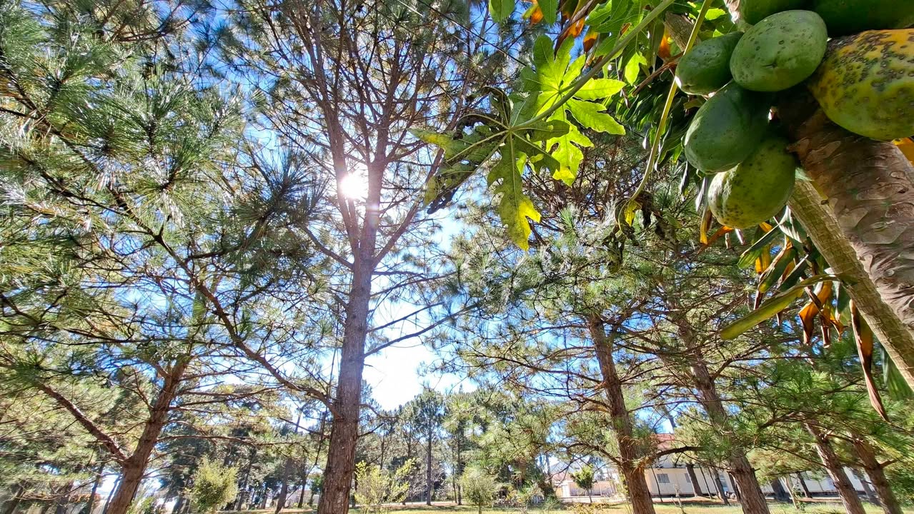 Đất nền Đà Lạt 153m² giá 6 tỷ - Hướng Đông, sổ riêng xây dựng