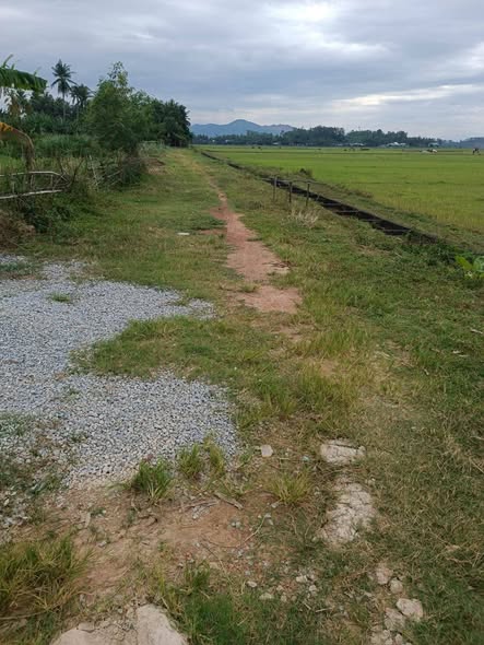 Đất nền liền kề Vĩnh Phụng 2, Hoài Xuân 339m² giá 1.3 tỷ - View đồng lúa thoáng mát!