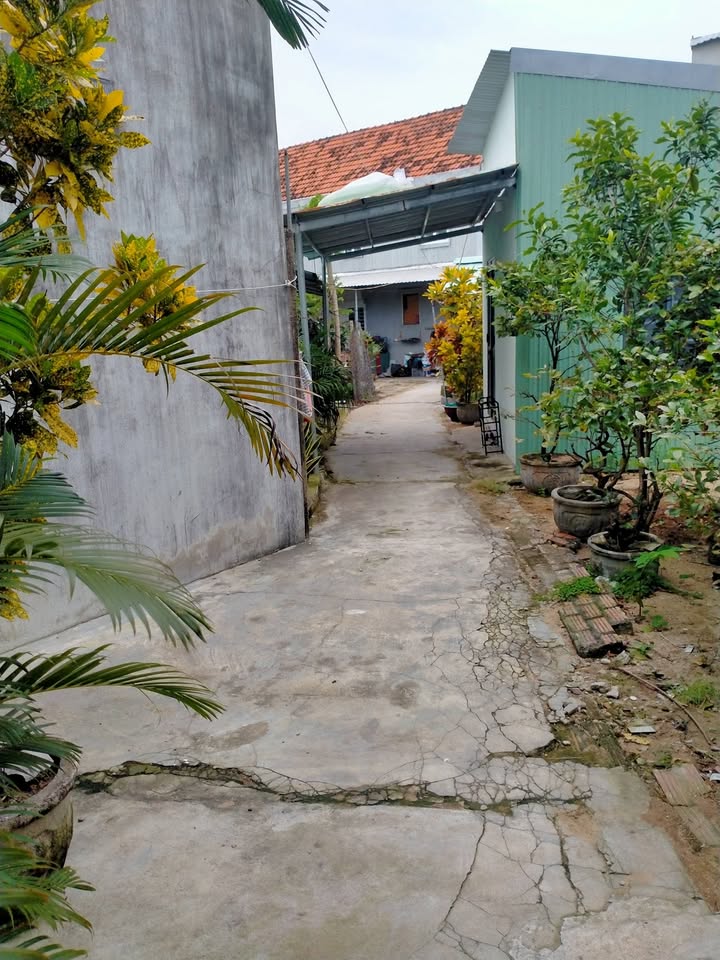 Nhà cấp 4 Phường 9, Quận 10, 80m² giá 550 triệu - Không tranh chấp, vào ở ngay!