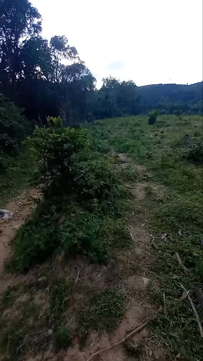 Đất nông nghiệp Phú Hòa 1 5ha giá 10 tỷ - Sổ hồng đầy đủ, thuận tiện cho đầu tư!