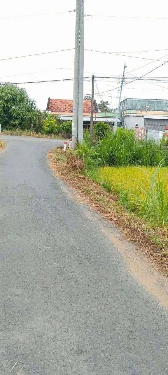 Đất nền thổ cư xã Vĩnh Hựu, huyện Gò Công Tây 143m² giá 250 triệu - Cơ hội đầu tư tuyệt vời!