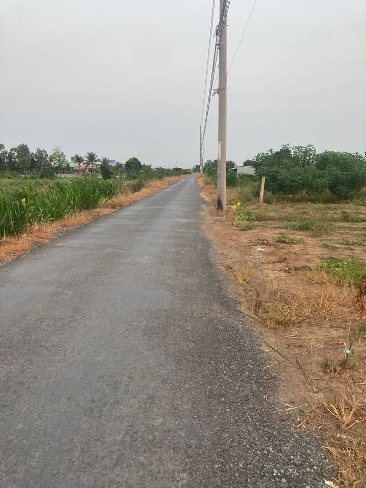 Đất nền 100m² tại Ấp 6, Nhựa Giồng Nguyên - Giá chỉ từ 490 triệu!