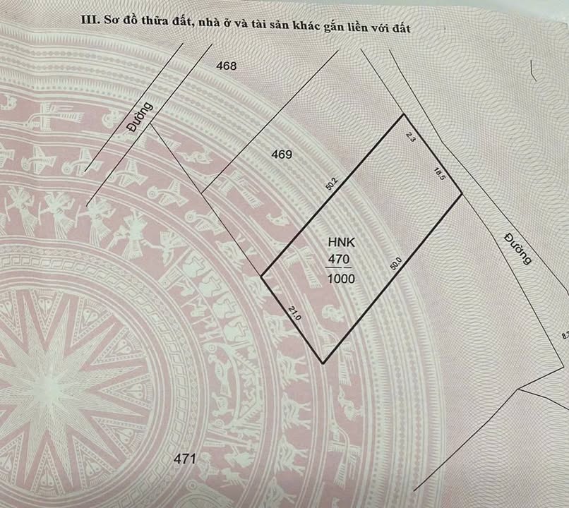Đất nền 1000m² tại Sông Pha - Ninh Sơn chỉ 100 triệu - Cơ hội đầu tư tuyệt vời!