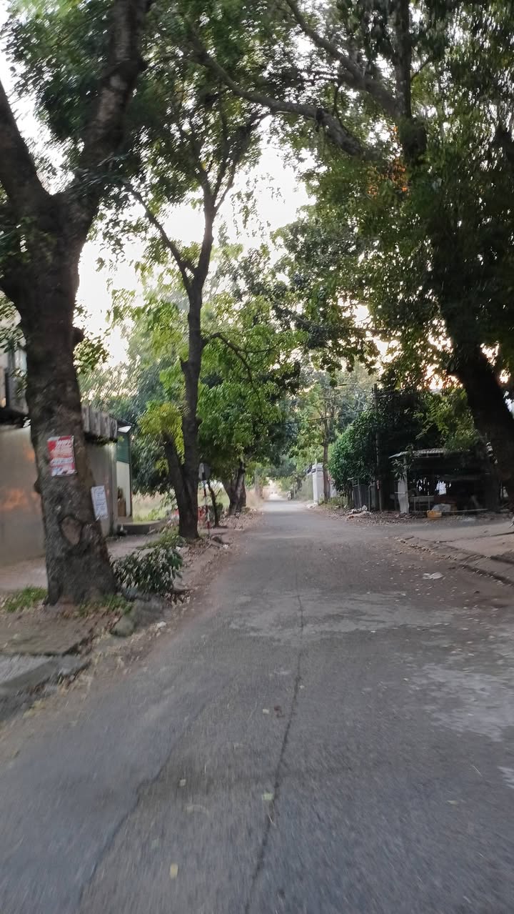 Đất nền mặt tiền đường D7, Khu Điện Nước K8, 110m² - Giá chỉ 1.25 tỷ, cơ hội vàng cho đầu tư!