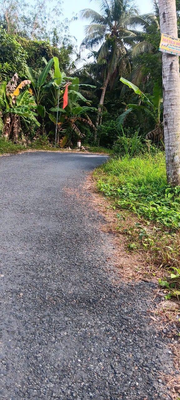 Đất nền Trà Côn, Vĩnh Long 290m² - Giá rẻ, sổ hồng công chứng ngay!