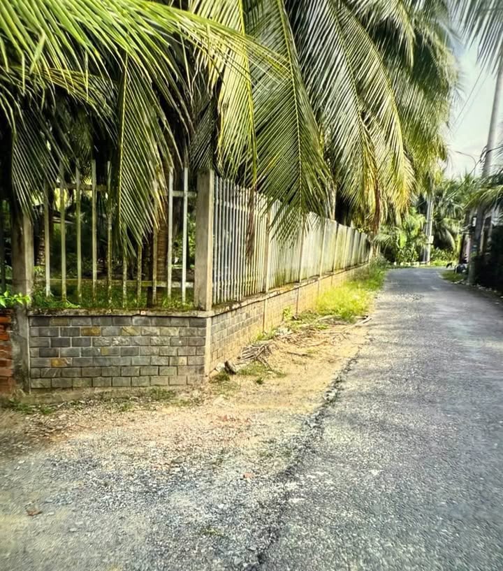 Đất mặt tiền Cơ Khí Bình Phú, Vĩnh Long 701m² giá 2.1 tỷ - Cơ hội đầu tư lý tưởng!