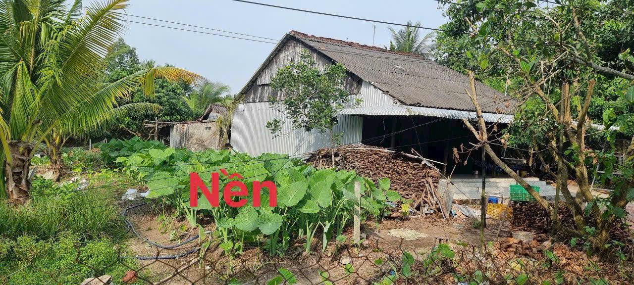 Đất nền xã Tân An Thạnh, Bình Tân 166m² giá chỉ 3xx triệu - Tiện ích đầy đủ, giao thông thuận lợi!