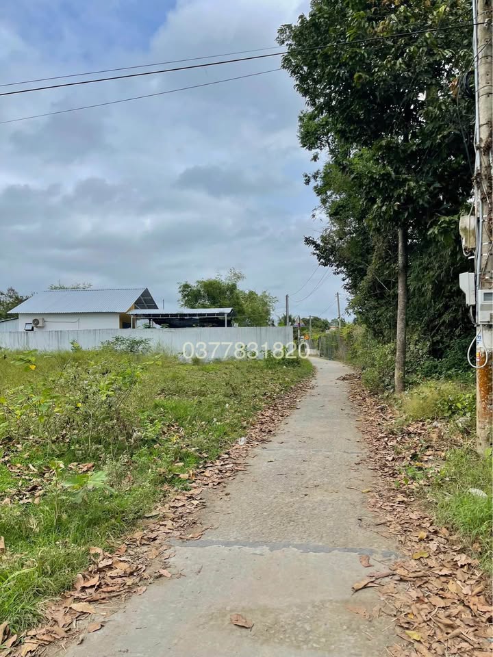 Đất thổ cư mặt tiền ĐAL TRÌ PHONG - Hòa Lợi 125m² giá chỉ 299 triệu!