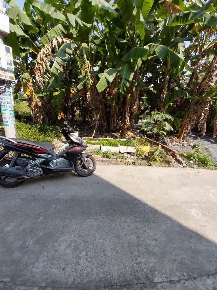 Đất nền Trảng Dài Biên Hòa 97m² giá 550 triệu - Cơ hội đầu tư vàng!