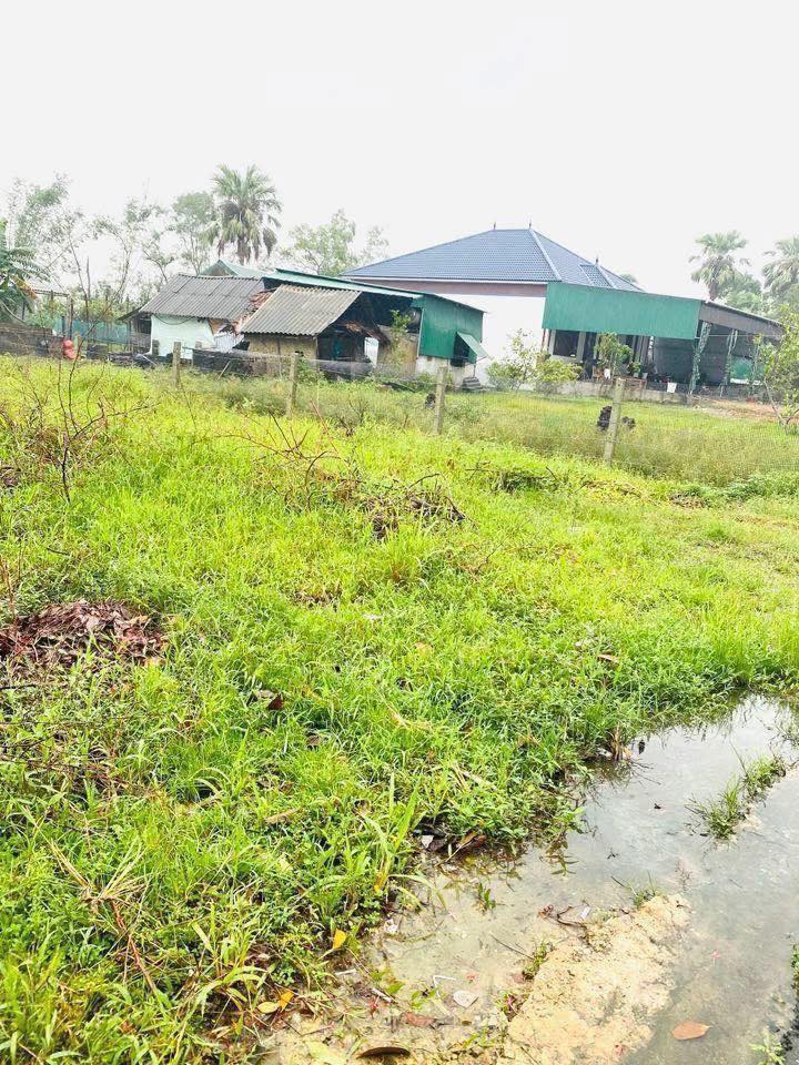 Lô đất Thạch Xuân 187m² giá 800 triệu - Đường thông thoáng, pháp lý rõ ràng!