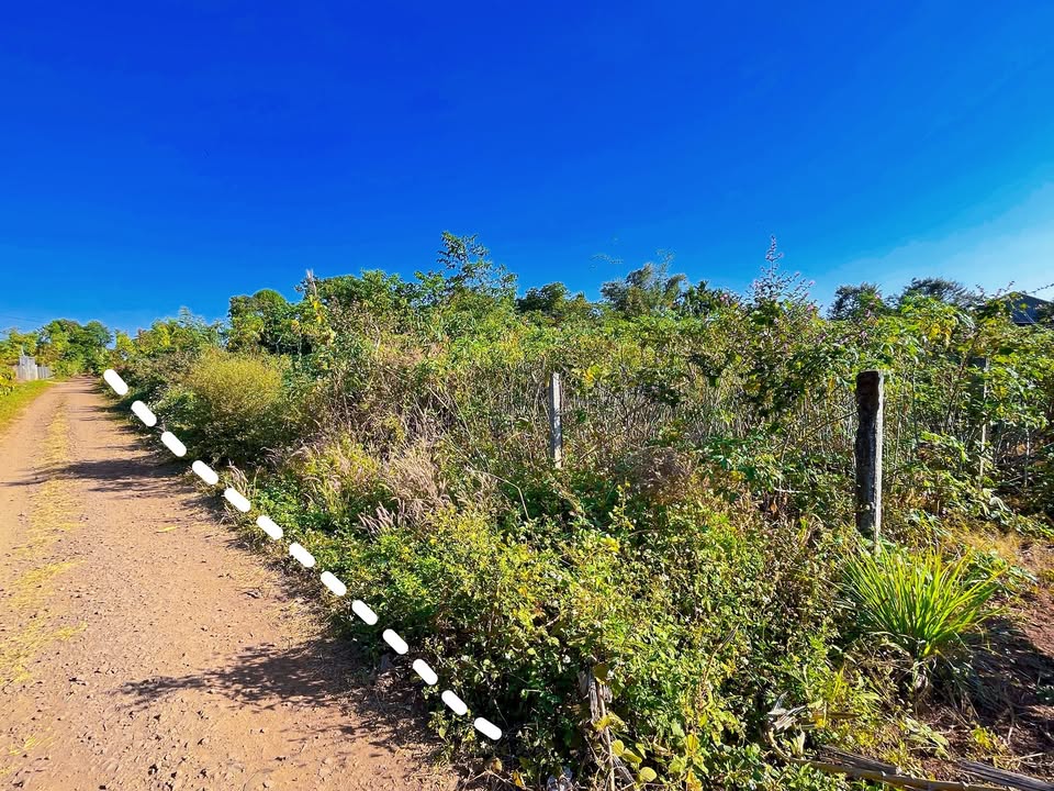 Đất nền chính chủ xã Ea H'đing 528m² giá 535 triệu - Cơ hội đầu tư tuyệt vời!