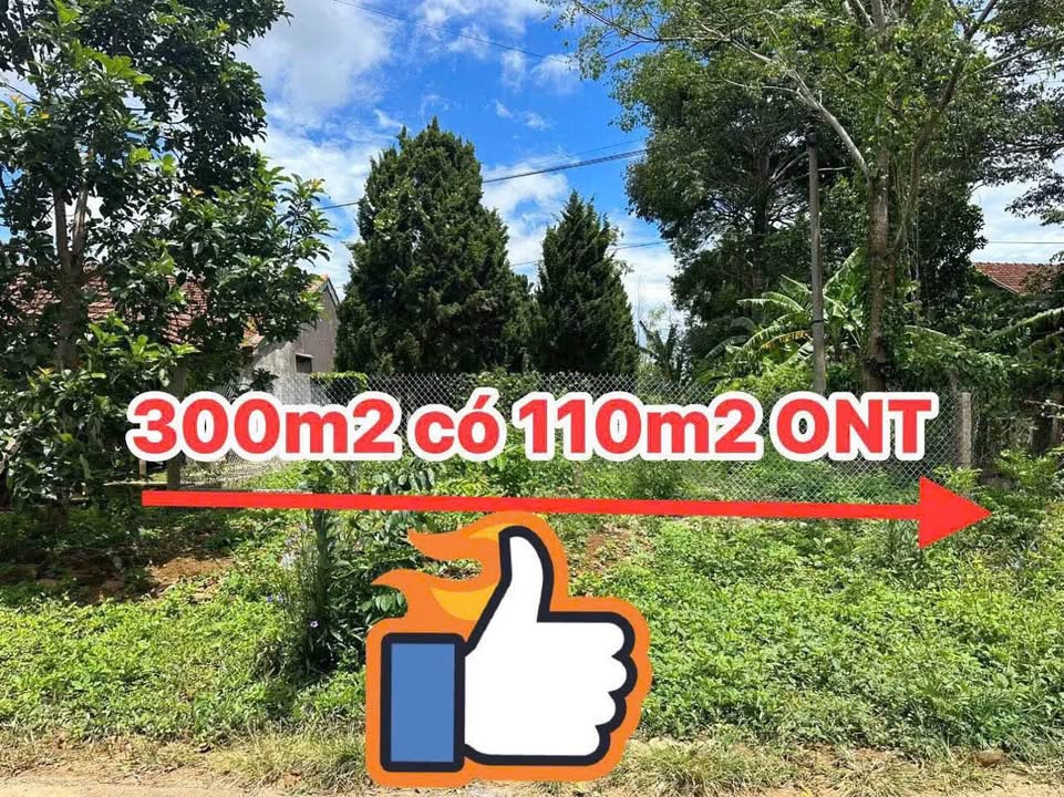 Đất mặt tiền đường DT643 cũ, Sơn Hòa, Phú Yên 300m² giá 990 triệu - Cơ hội đầu tư hấp dẫn!