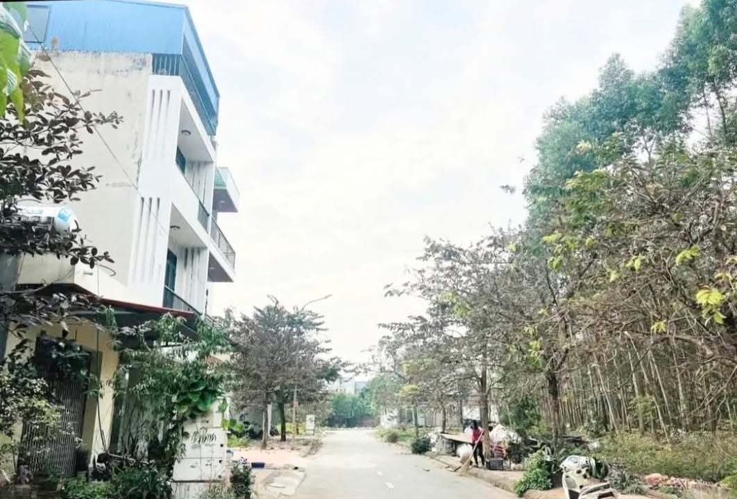 Đất Làn 2 Chợ Mía Tân Mỹ 90m² giá 26 tỷ - Cơ hội đầu tư hiếm có!