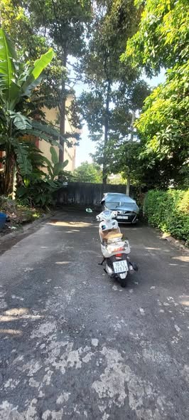 Đất nền Chánh Nghĩa, Thủ Dầu Một 120m² giá 3.5 tỷ - Đầu tư sinh lời ngay lập tức!