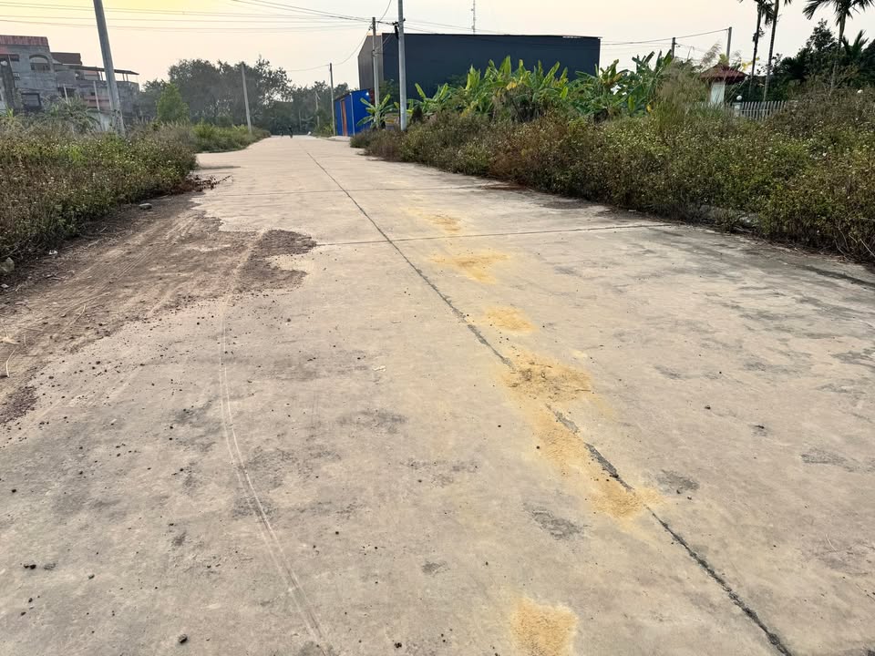 Đất nền 110m² Tỉnh Lộ 295 - Giá chỉ 1 tỷ - Cơ hội đầu tư lý tưởng!