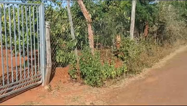 Farm tại Xã Ia Blang, Huyện Chư Sê, 7200m² - Bán gấp, có nhà yến!