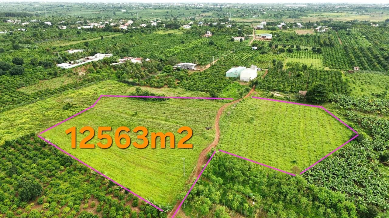 Đất nền thổ cư 1,3ha tại thôn 6, xã Ia Blang, giá 1.6 tỷ - Cơ hội đầu tư hiếm có!