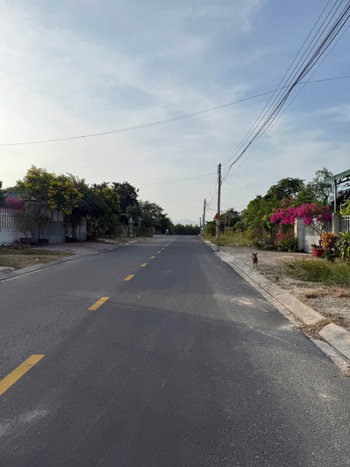 Đất thổ cư Tổ dân phố 8, Lâm Hà 220m² - Giá thương lượng hấp dẫn!