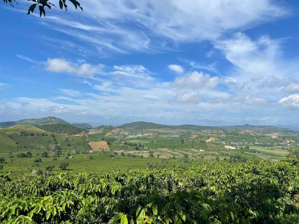 Đất thổ cư Nam Hà, Lâm Hà 8000m² giá 8 tỷ - Đường thông, view đẹp!