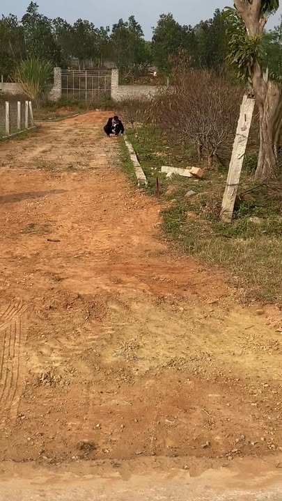 Đất nền xã Quang Thành 223.5m² giá 1 tỷ - Lô góc 2 mặt tiền, cơ hội đầu tư tuyệt vời!