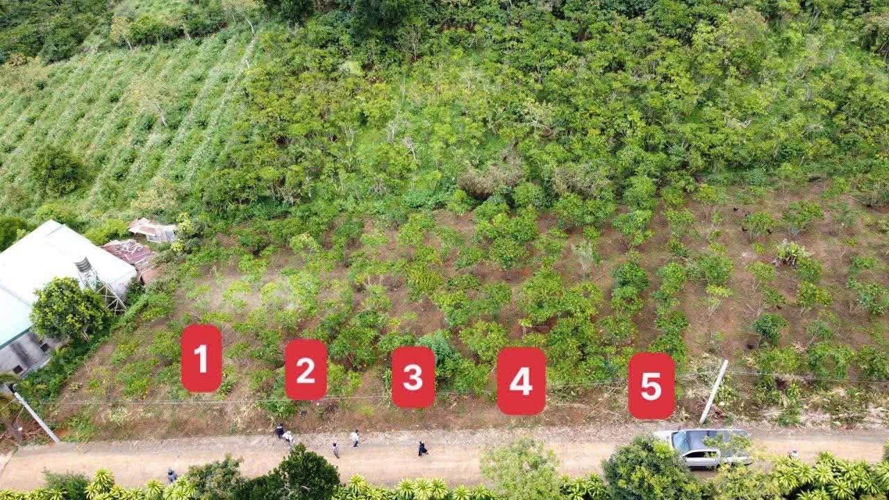 Đất nền Lộc An 125m² giá chỉ 550 triệu - Đầu tư sinh lời ngay!