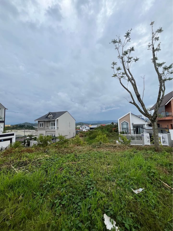 Bán đất mặt tiền KQH Nguyễn Hoàng Đà Lạt 99m² giá 3.6 tỷ - Đầu tư tiềm năng!