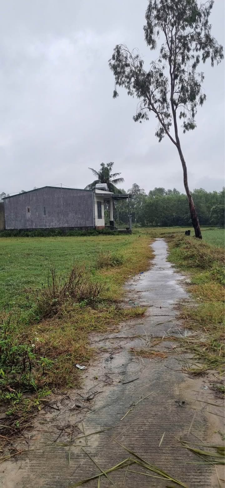 Mảnh vườn Farm Tịnh Phong 750m² giá chỉ 1.2 tỷ - Cơ hội đầu tư tuyệt vời!