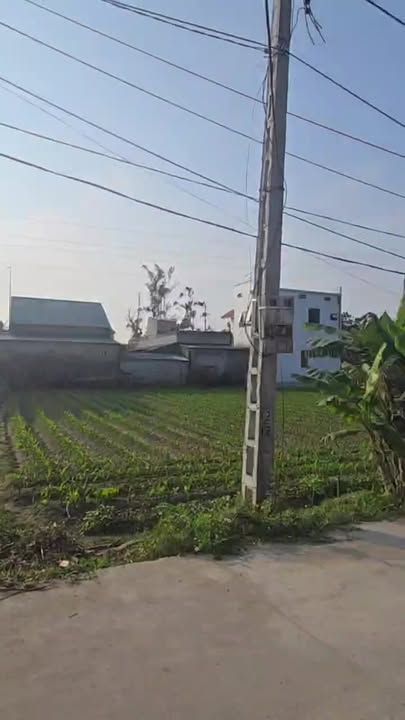 Đất nền Xã Thịnh Trường, Huyện Nghi Lộc 237.8m² - Mặt tiền đường bê tông rộng rãi!