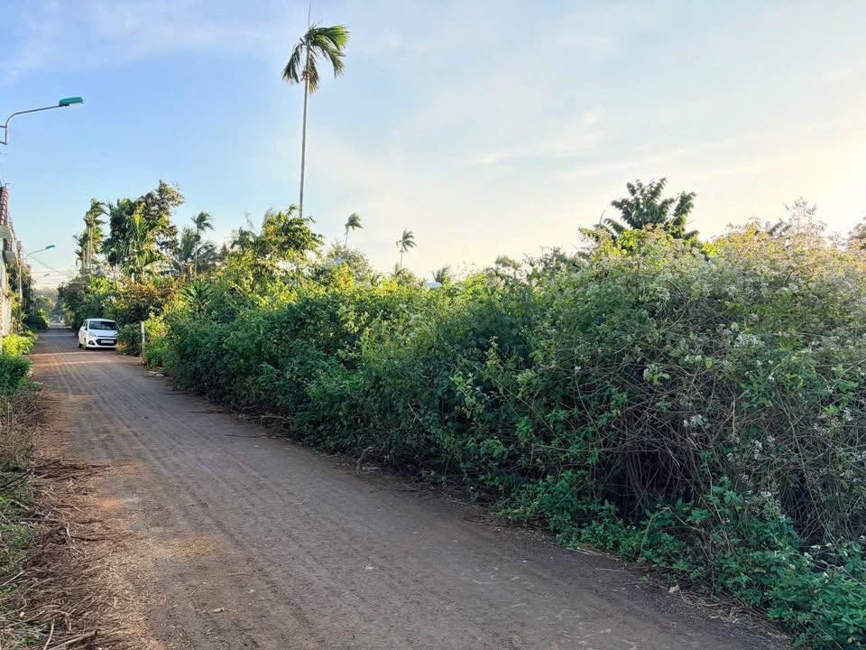 Đất thổ cư Eatu KoTam, Tân An 100m² giá 1.05 tỷ - Cơ hội đầu tư tuyệt vời!