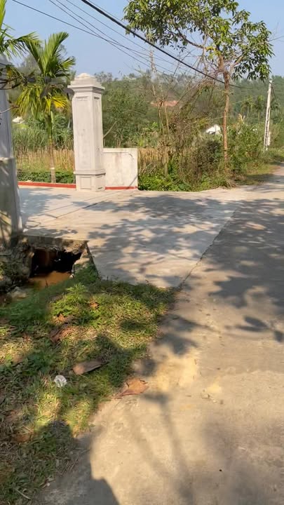 Đất nền Xóm 2 Phúc Thành 368m² giá chỉ 500 triệu - Đất sạch đẹp, gần trường học!