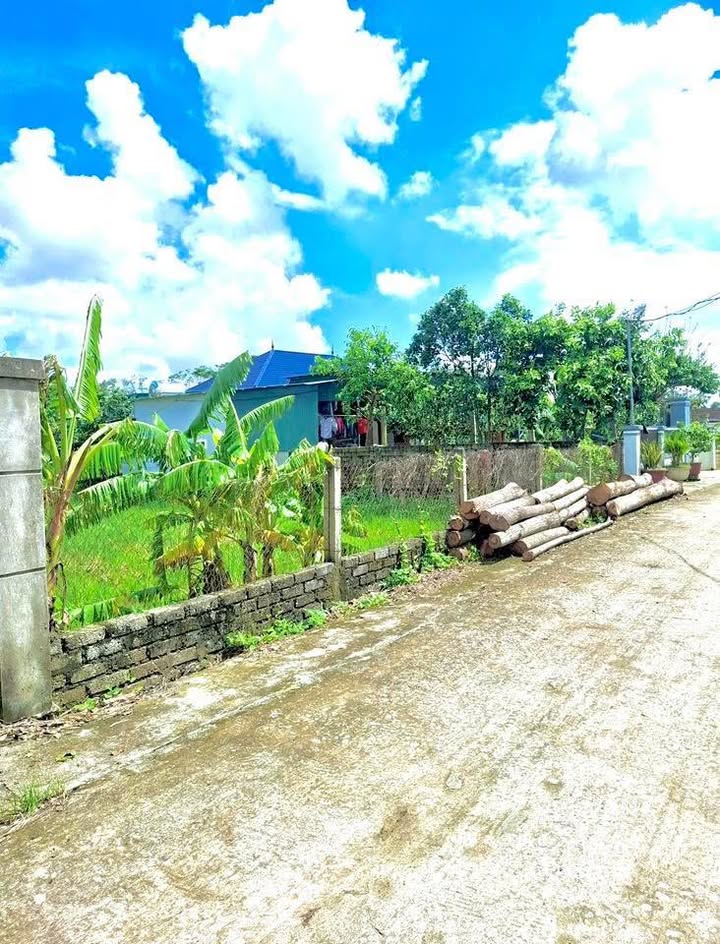 Đất nền Xóm 8b Long Nam, Yên Thành 270m² giá 700 triệu - Đường thông ô tô tránh nhau!