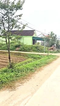 Đất nền Xã Lăng Thành, Huyện Yên Thành 149m² - Vị trí thuận lợi, đầy đủ tiện ích!