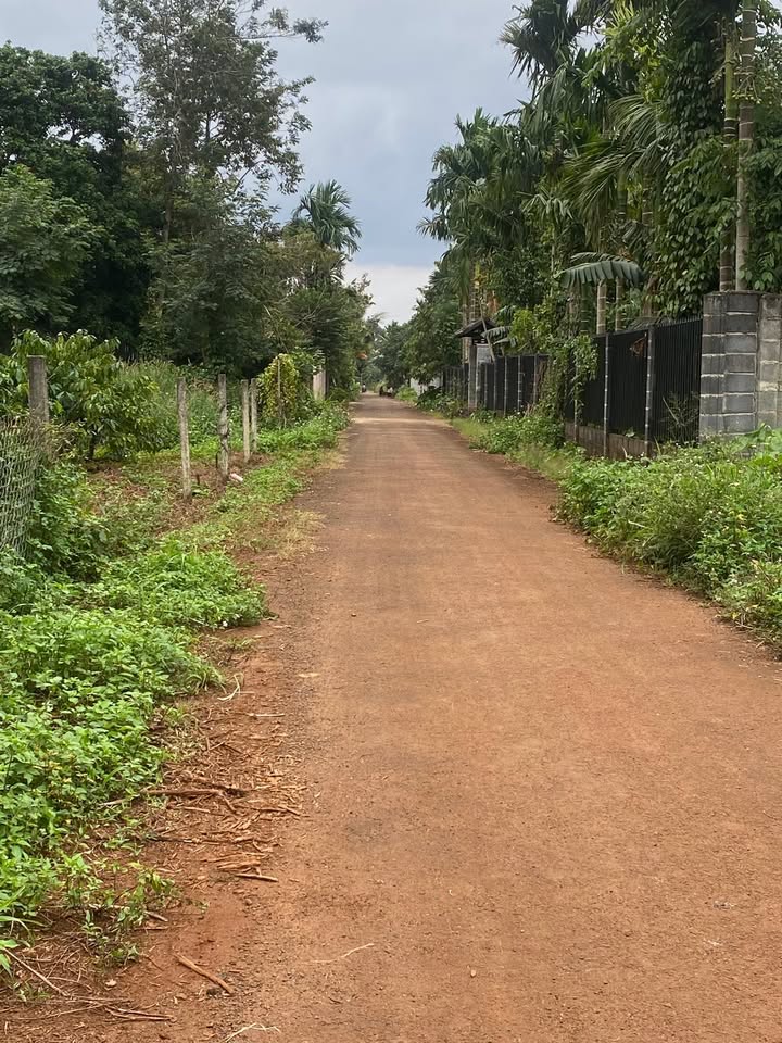 Đất nền Hẻm đường dẫn Đại Lộ, Phường Tân Lập 150m² - Giá đầu tư hấp dẫn!